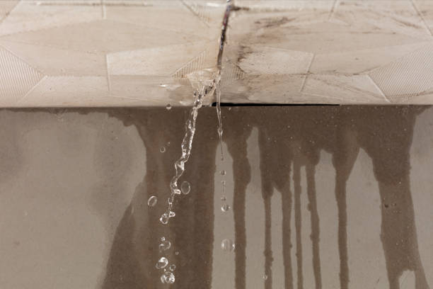Professional Flood Damage Cleanup technician working in Arthur, IL
